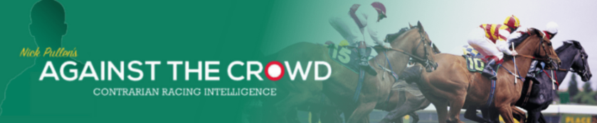 Against the Crowd Banner